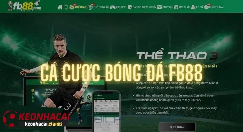 Nhà Cái FB88 - Nhà Cái Uy Tín Hàng Đầu Châu Á 2025 Các sản phẩm và dịch vụ cá cược có tại FB88