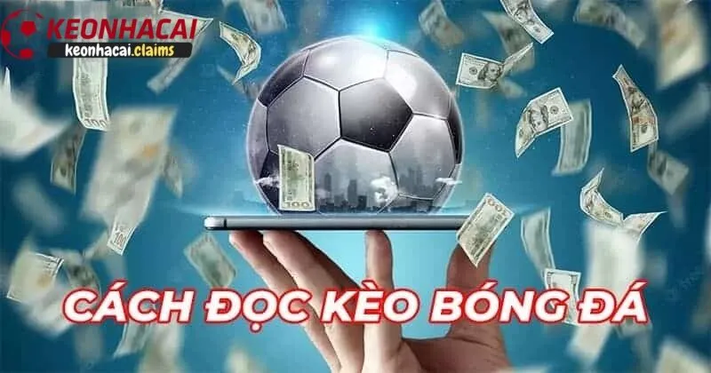 Giới thiệu kèo nhà cái - Tổng Hợp Thông Tin Chi Tiết và Mẹo Soi Kèo Hiệu Quả Nhất 2025 Hướng dẫn đọc và hiểu về tỷ lệ kèo nhà cái